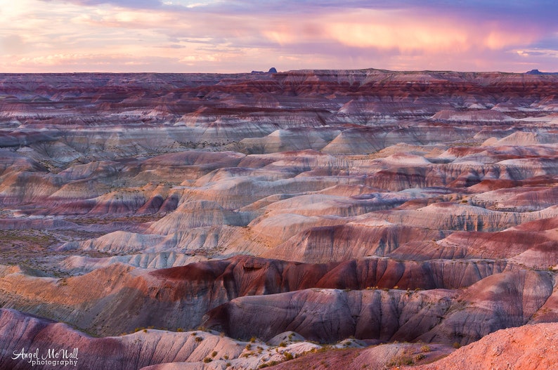 Painted Desert, Arizona, Large Fine Art Landscape Photography Print, Southwest decor, pink sunset, desert photo print or canvas wrap image 1