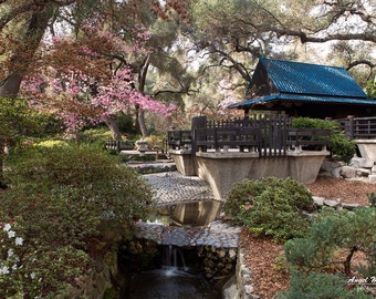 Japanischer Garten, Teehaus, Fine Art Fotografie Druck, Kirschblüten, Frühling, Naturfotografie, Zen Dekor, Friedlich, Japanische Wandkunst