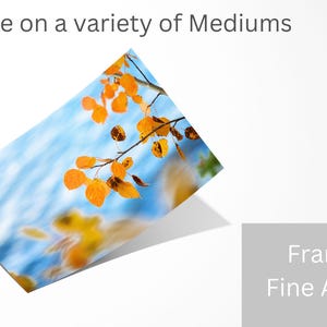 Aspen Leaves Wall Art, Soft Blue and Gold Nature Print, Statement Decor image 4