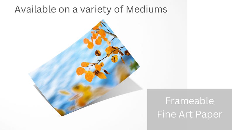Aspen Leaves Wall Art, Soft Blue and Gold Nature Print, Statement Decor image 4