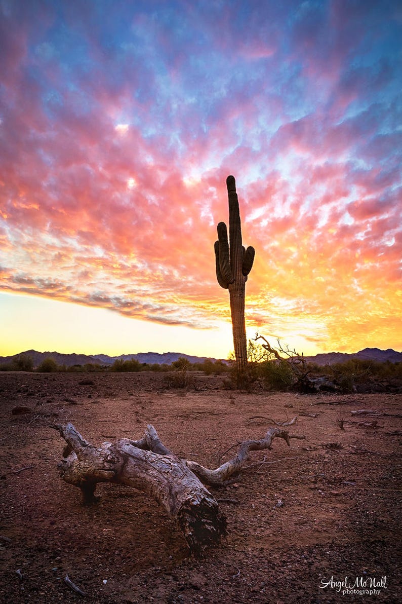 Large metal wall art desert sunset cactus Southwest wall Etsy