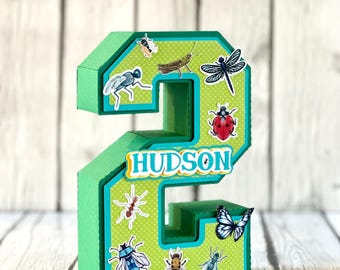 Bug Birthday Number: 3D Insect Party Centerpiece