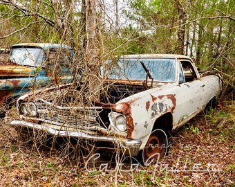 Photograph of the 1965 White Chevy El Camino in the Woods