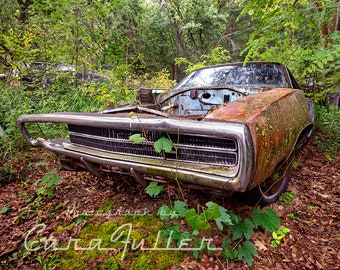 Photograph of a Rusty 1968 Dodge Charger in the Woods