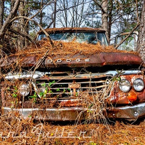 Photograph of a 1961 -1965 Rusty Dodge Truck in the Woods