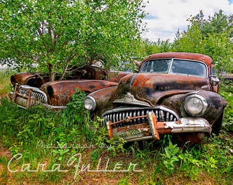 Photograph of two 1948 Buicks in the Woods (Tree Growing out of Back Car)