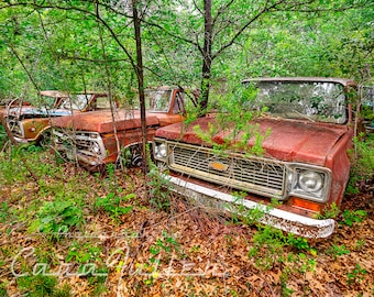 Photograph of a white 1973 - 1974 Chevy & Ford Truck in the Woods