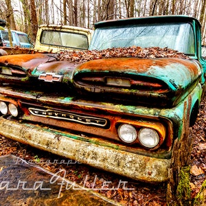 Photograph of a 1961 Blue Chevy C/10 Truck in the Woods