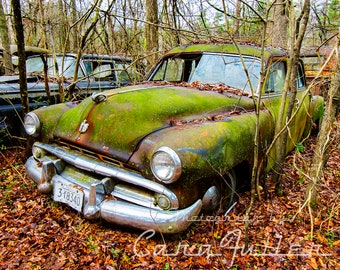 Photograph of a 1951 - 1952 Black Dodge Covered in Moss in the Woods