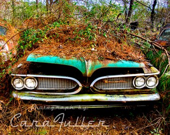 Photograph of the 1959 Pontiac Bonneville under a heap of pine needles