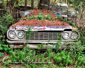 Photograph of a 1964 White Chevy Impala with in the woods with Pine Needles