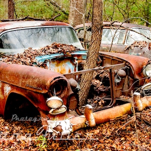 May include: A rusty blue car is partially submerged in a pile of leaves. The car is missing its front bumper and has a tree growing through the engine compartment.