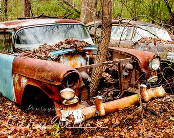 Photograph of a 1955 Chevy in the Woods with a tree growing though the front
