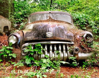 Photograph of a 1950 Buick in the Woods