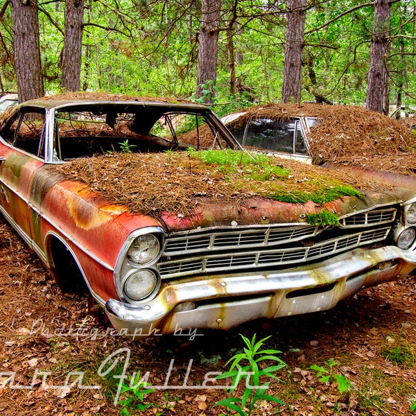 Photograph of the 1967 Red Ford Galaxie in the Woods