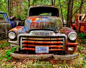 Photograph of a blue 1954 GMC Truck in the Woods