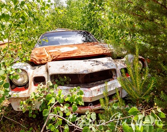 Photograph a white 1978-1981 Camaro in the Woods