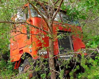 Photograph of a red Rusty Peterbilt Cab Over Diesel Tractor Trailer Semi Truck in the woods