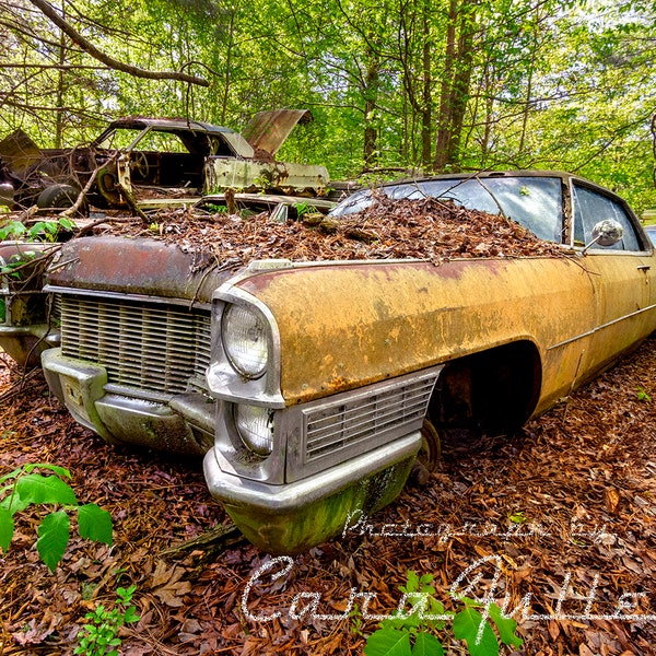 Photograph of a Golden Yellow 1965 Cadillac in the Woods