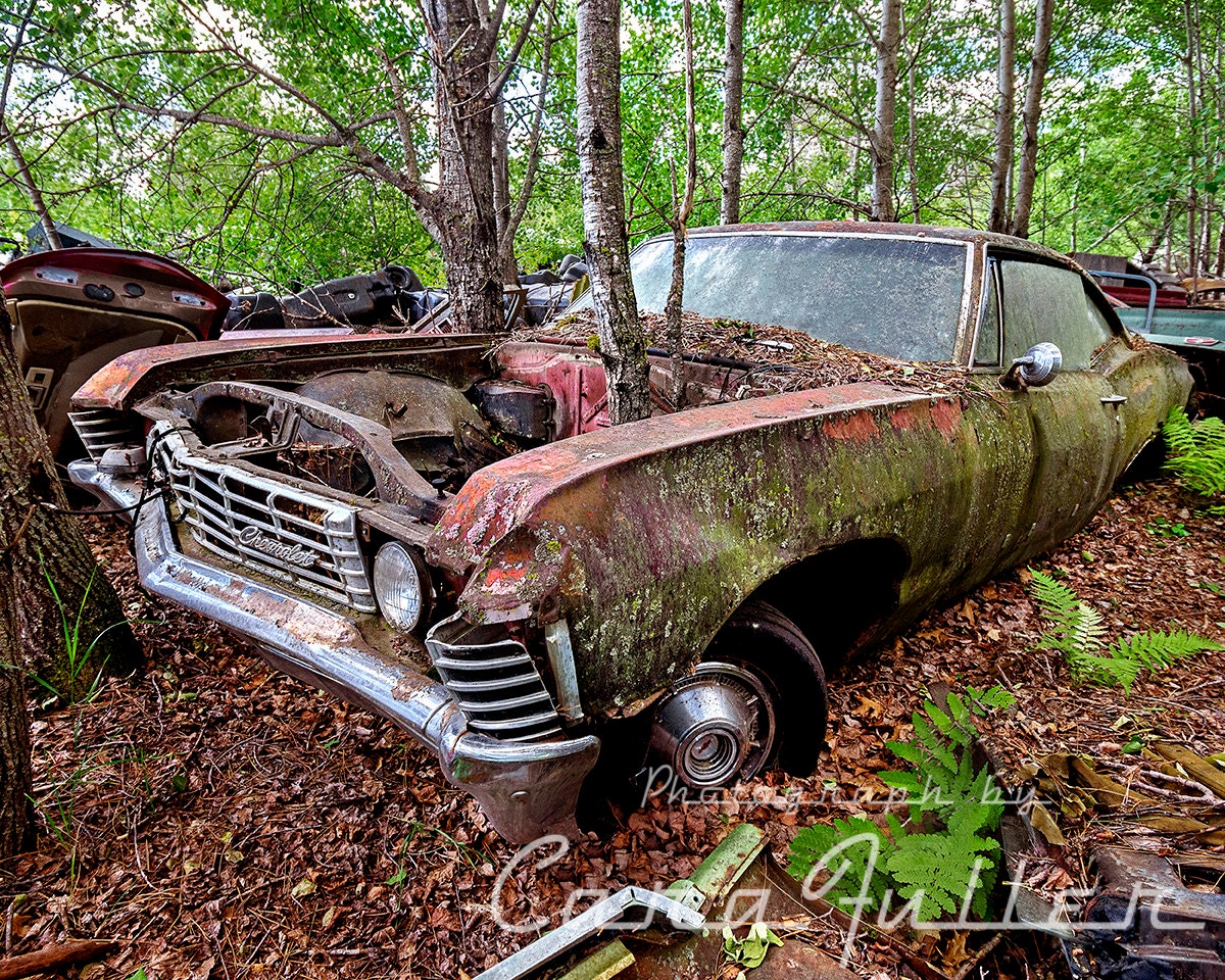 Photograph a Red 1967 Impala the Woods With a Tree Etsy