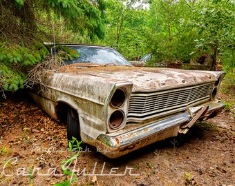 Photograph of a 1965 White Ford Galaxie in the Woods