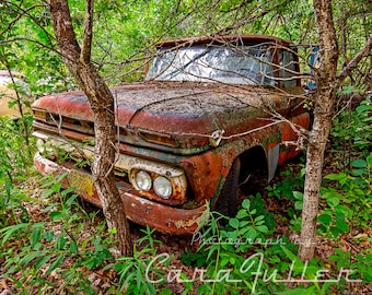Photograph of a Red 1962 - 1963 GMC Truck in the Woods