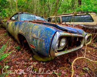 Photograph of a Blue 1970 Dodge Coronet 440 in the Woods