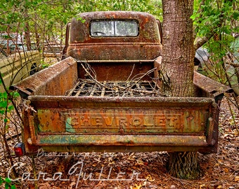 Photograph of a 1948-1953 Chevy Truck with a tree growing through the bed