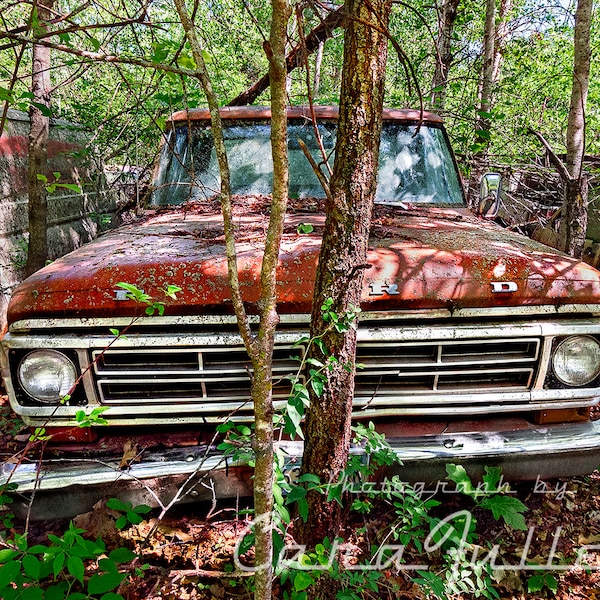 Photograph of a Red 1972 Ford Truck in the Woods