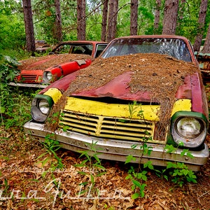 Photograph of two 1975 Chevy Vegas in the Woods