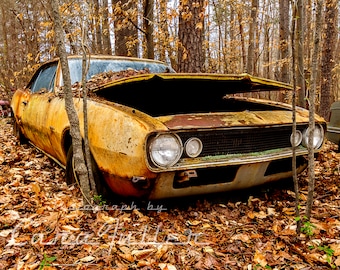 Photograph of a Yellow 1967 Camaro in the Woods