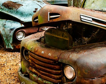 Photograph of a 1948 - 1950 Ford F1 pickup Truck in the Woods