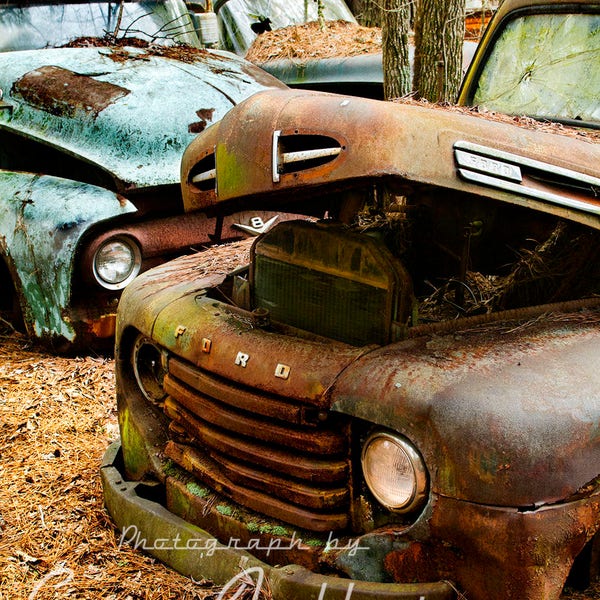 Photograph of a 1948 - 1950 Ford F1 pickup Truck in the Woods