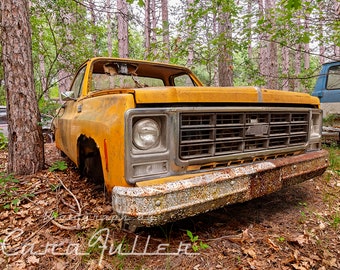 Photograph of a Yellow 1977 - 1979 Chevy Truck in the Woods