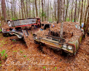 Photograph of a 1969 Dodge Coronet and a 1971 Plymouth Satellite in the Woods