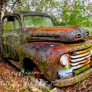 Photograph of a 1948 - 1950 Ford F1 Pickup Truck with Peeling Paint & Moss