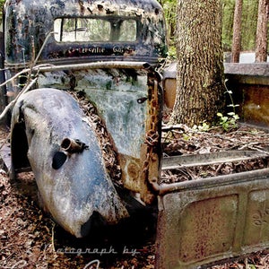 Photograph of a 1938 - 1941 Ford Truck with Tree Growing Out of Bed