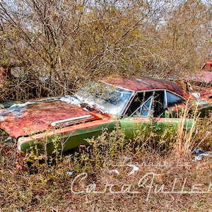 Photograph of a 1969 Plymouth Roadrunner in the Woods