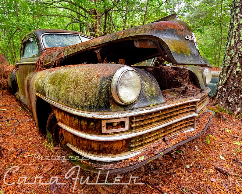 Photograph of a 1946 1948 Chrysler in the Woods image 1