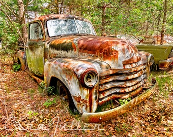 Photograph of a 1948-1953 white Chevy Truck in the woods