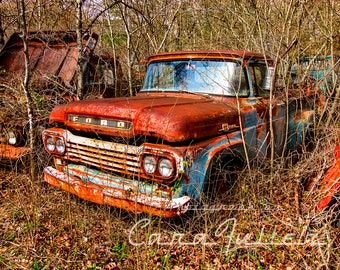 Photograph of a 1959 Ford Blue & Rusty Truck in the woods