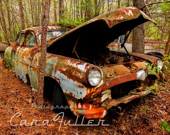 Photograph of a 1952 Hudson in the Woods