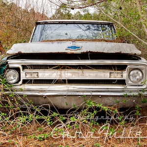 Photograph of a White 1969 - 1970 Chevy C/10 Truck in the Woods