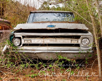 Photograph of a White 1969 - 1970 Chevy C/10 Truck in the Woods