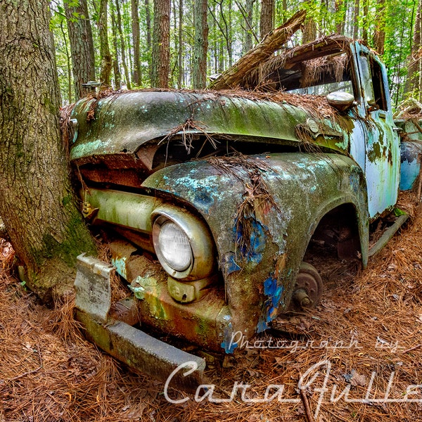 Photograph of a 1956 Ford F350 1 1/2 Ton Big Truck in The Woods w/a Tree Growing in the Bumper