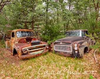 Photograph of 1959 & 1960 International Trucks in the Woods