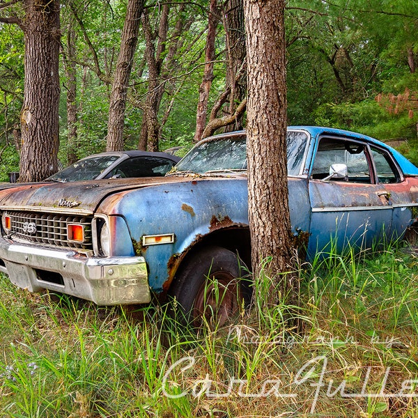 Photograph of a Blue 1973 - 1974 Chevy Nova SS in the Woods