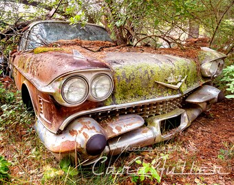 Photograph of a 1958 Cadillac in the Woods