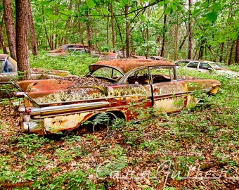 Photograph of a White 1957 Pontiac Star Chief in the Woods