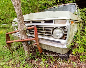 Photograph of a White 1973 Ford Truck in the Woods